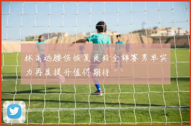林高远腰伤恢复良好全锦赛男单实力再度提升值得期待