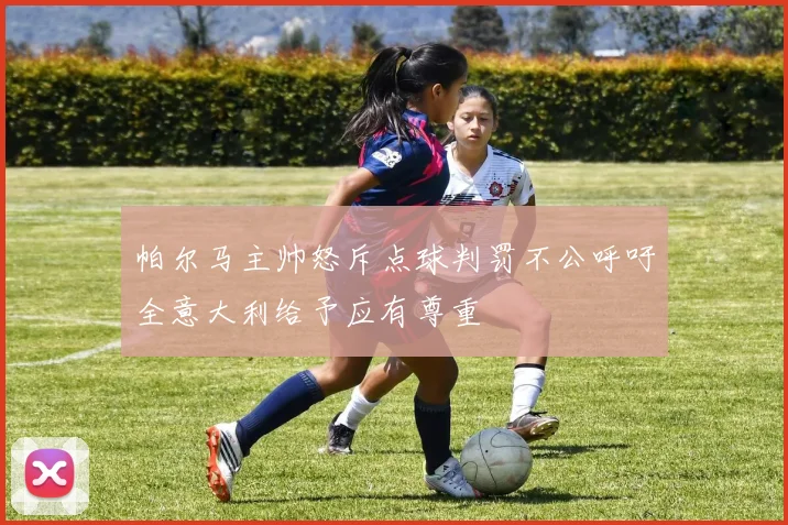 帕尔马主帅怒斥点球判罚不公呼吁全意大利给予应有尊重