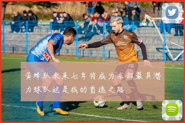黄蜂队未来七年将成为东部最具潜力球队这是我的首选之路