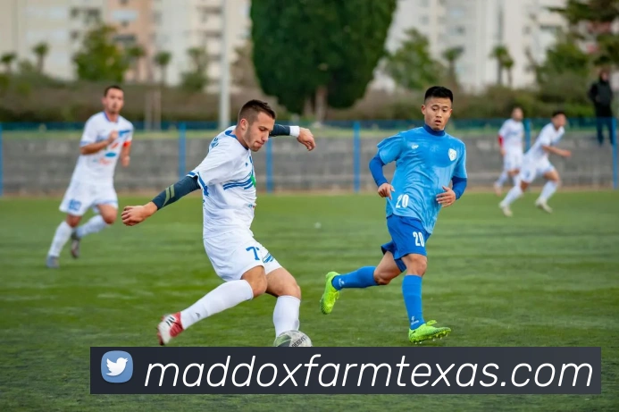 App 展示图